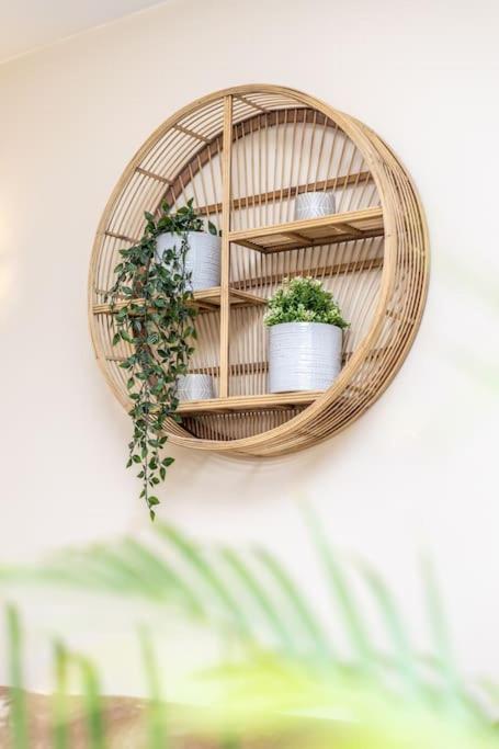 Top Studio Knokke Bij Zeedijk! エクステリア 写真